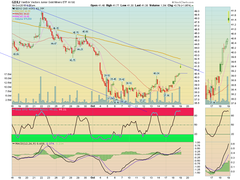 GDXJ Gapped Up today!