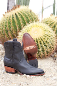 Investing in Tecovas Boots: Stock Price Insights and Opportunities