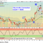 TSLA Daily 02142025